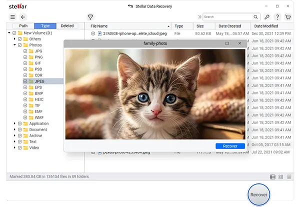 Preview and Select Files