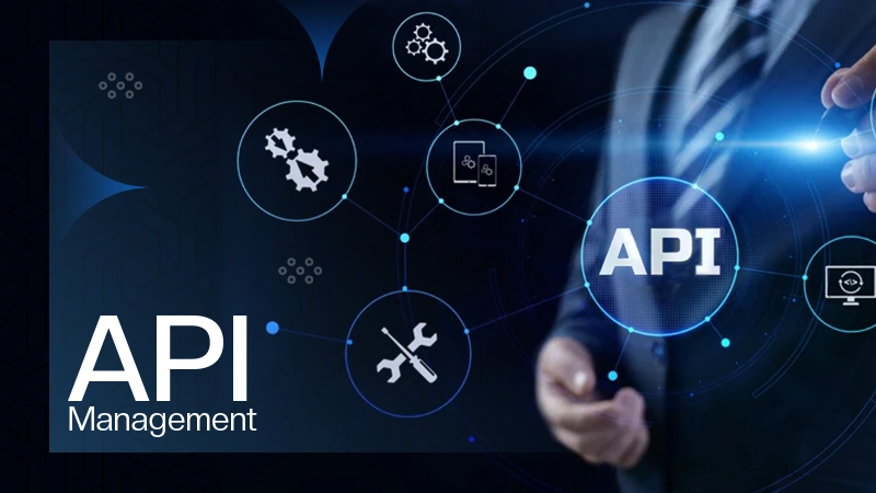 What is API Management? How Businesses Manage APIs